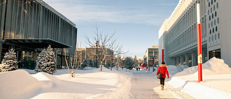 Conditions de travail à l'Université Laval